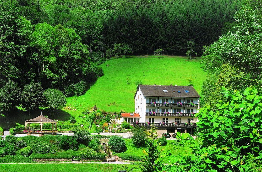 Flair Hotel Adlerbad Бад-Петерсталь-Ґрісбах Екстер'єр фото